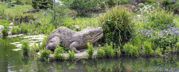 the concrete statue of a frog-like extinct amphibian. it hunches amongst vegatation on the shore of a pond