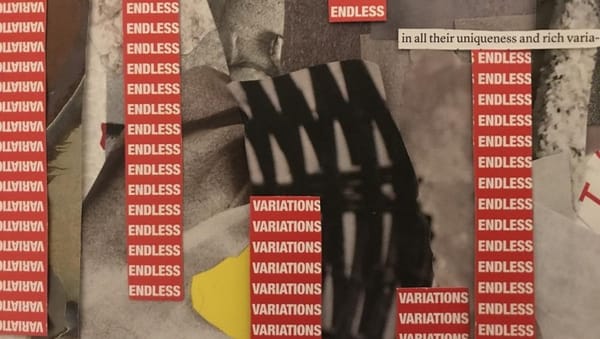 social science methodology: endless variations?